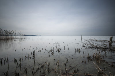 Scenic view of lake against sky during winter