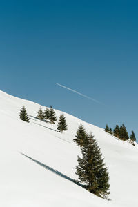Vapor trail and coniferous trees on snowcapped mountain against clear blue sky