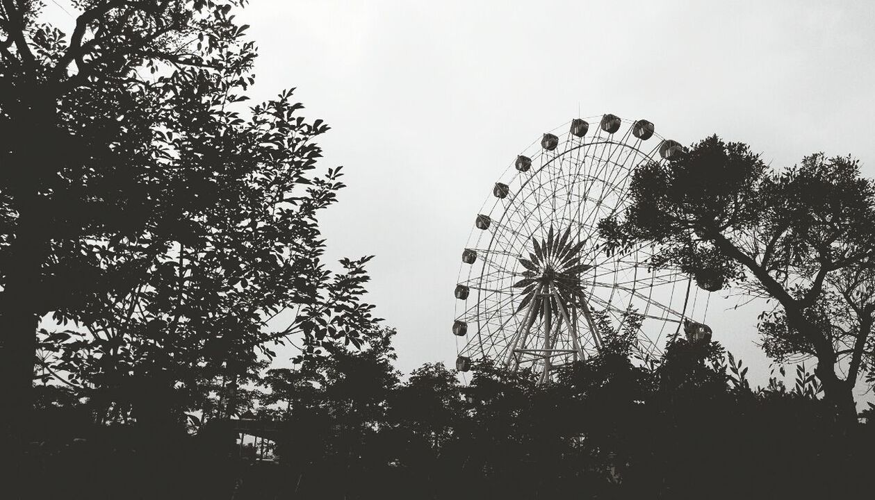 tree, low angle view, clear sky, silhouette, growth, sky, nature, copy space, outdoors, branch, no people, day, tranquility, arts culture and entertainment, amusement park, ferris wheel, dusk, beauty in nature, built structure, architecture