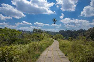 Footpath amidst plants on field against sky