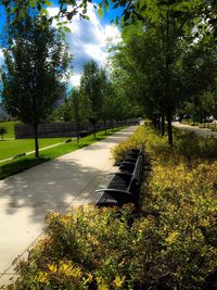 Empty park bench in park