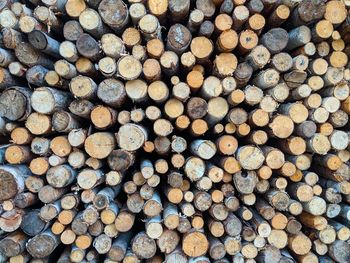 Full frame shot of logs in forest