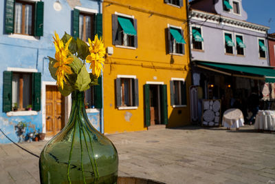 Yellow flowers on table by building