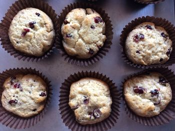 High angle view of cupcakes