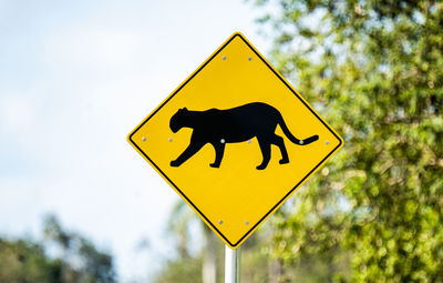 Close-up of road sign