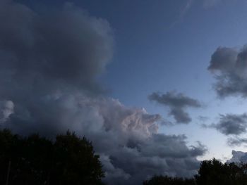 Low angle view of trees against sky