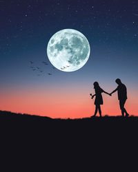 Silhouette people standing on field against sky at night