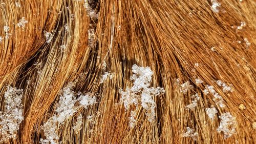 Full frame shot of snowflakes