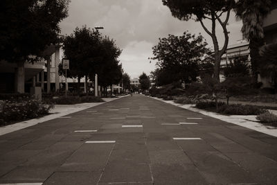 Footpath amidst trees in city against sky