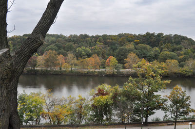 Scenic view of lake by trees against sky