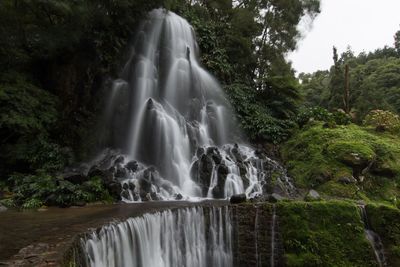 Scenic view of waterfall in forest