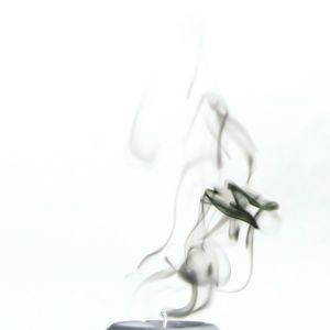 Close-up of over white background