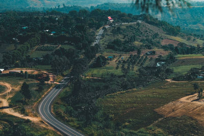 High angle view of road amidst trees