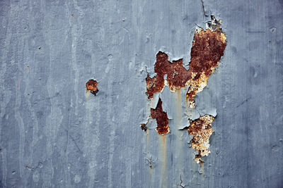 Close-up of rusty metal on wood against wall