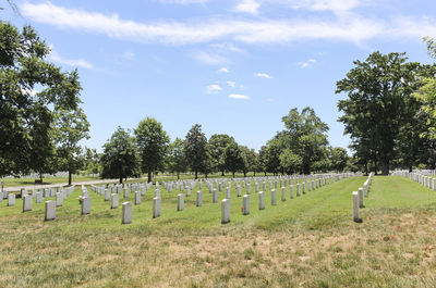 Trees in cemetery against sky