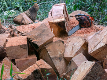 High angle view of logs in forest