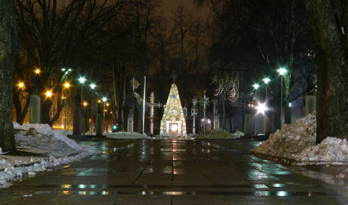 Illuminated street lights in park at night