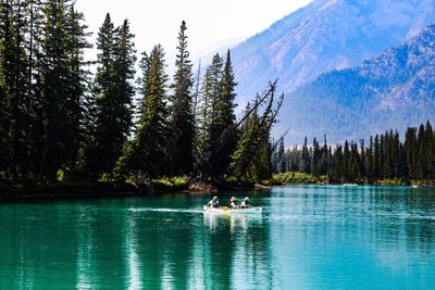 Scenic view of lake against trees in forest