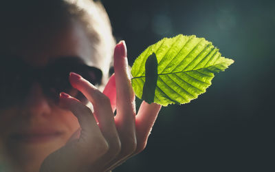 Close-up of hand holding leaf