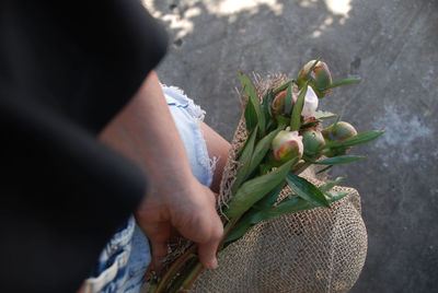 Close-up of hand holding flowering plant