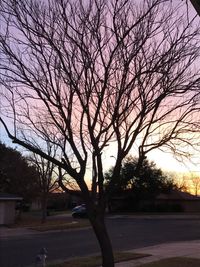 Silhouette bare tree by road against sky during sunset