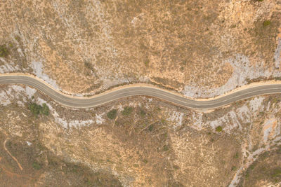 High angle view of snake