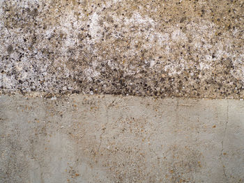 Full frame shot of weathered wall