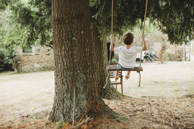 Rear view of boy on swing under trees