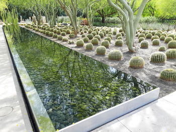 View of fountain in garden