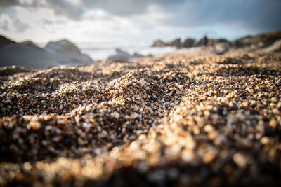 Close-up of pebbles on beach