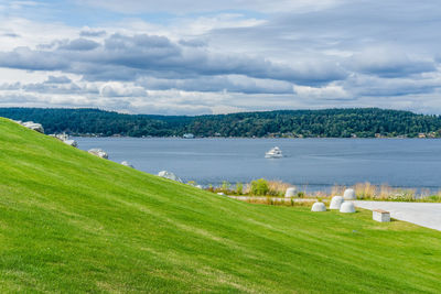 View of lawn and puget sound from dune peninsula park in tacoma, washington.