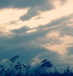 Low angle view of cloudy sky