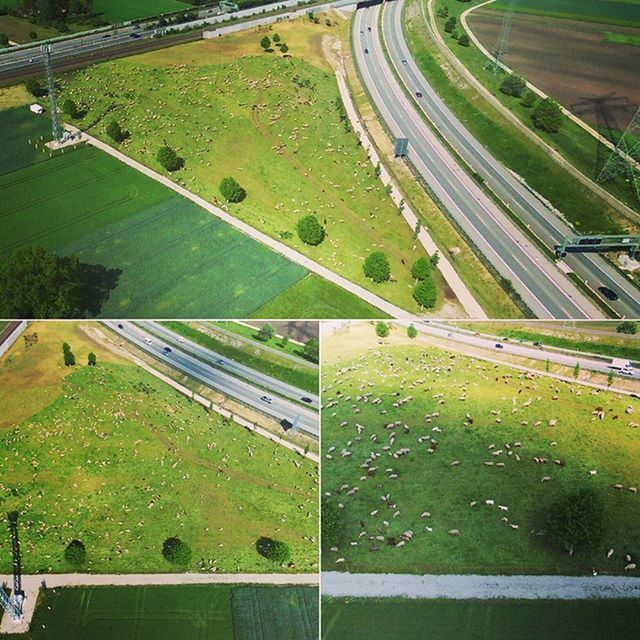 transportation, high angle view, green color, landscape, grass, field, agriculture, road, the way forward, rural scene, farm, vanishing point, railroad track, diminishing perspective, road marking, nature, day, growth, sunlight, outdoors