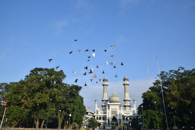 Low angle view of birds flying in building