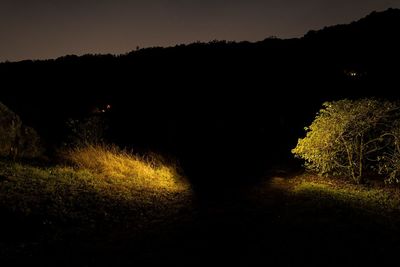 Silhouette trees on field against sky at night