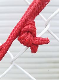 Close-up of red rope tied to railing