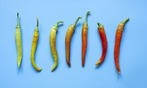 Directly above shot of chili pepper against blue background