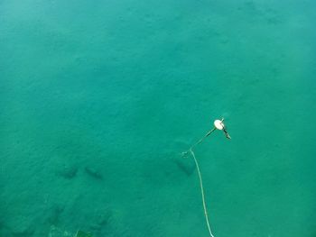 High angle view of person in sea