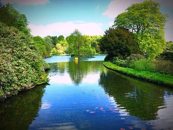 Reflection of trees in lake