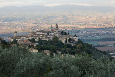 Aerial view of trevi medieval village in umbria