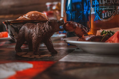 Close-up of horse eating food