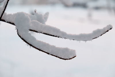 Close-up of frozen ice against sky