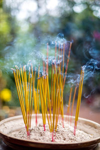 Close-up of incense sticks