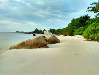 Scenic view of beach against sky