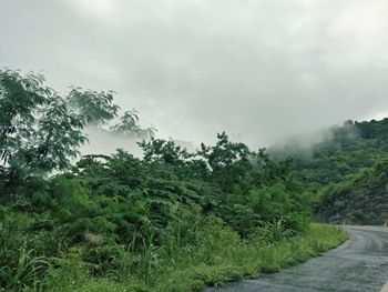 Road amidst trees against sky during rainy season