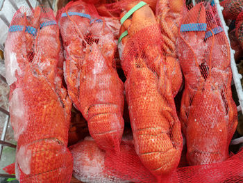 High angle view of fish for sale in market