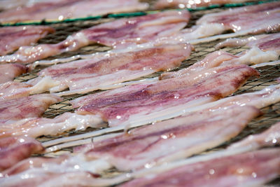 Close-up of squids on metal grate for sale at fish market