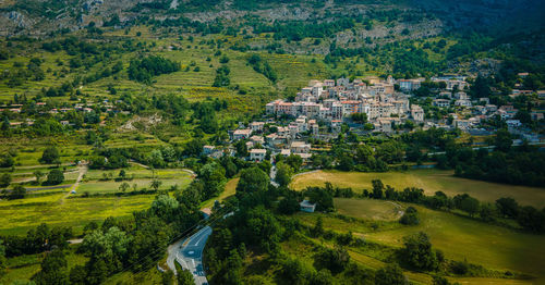 High angle view of trees and buildings in city