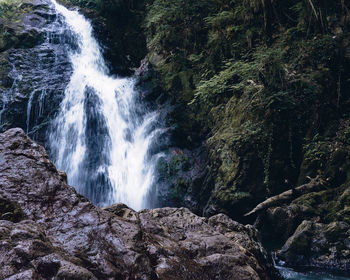 Scenic view of waterfall in forest