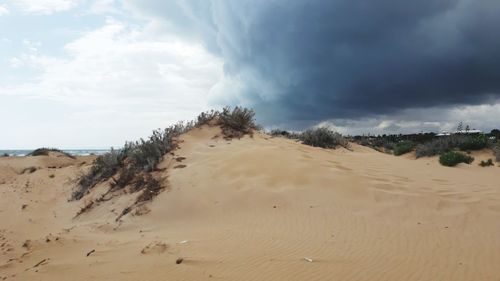 Scenic view of desert against sky